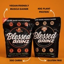 BLESSED Gainz Vegan Protein Powder Mass Gainer - 40g Plant Based Protein Powder - Meal Replacement Shake with Pea Protein Powder - Vegan Protein Shake - 40 Servings (Vanilla Cinnamon Swirl) 6