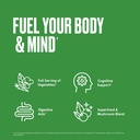 Bulletproof Greens, 8.4 Ounces and Vitamins A+D+K Gummies, 60 Count 4