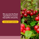 CranRich by Natural Factors, Super Strength Cranberry Concentrate, Antioxidant Supplement for Urinary Tract Support, Non-GMO, 90 softgels (90 servings) 6