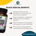Amazing Herbs Premium Black Seed Oil Capsules - Gluten Free, Non GMO, Cold Pressed Nigella Sativa Aids in Digestive Health, Immune Support, Brain Function - 90 Count, 500mg (Pack of 2) 5
