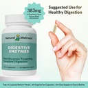 Natural Wellness Digestive Enzymes – Comprehensive Enzyme Blend for Healthy Digestion, Nutrient Absorption & Relief from Gas, Bloating & Indigestion – 60 Vegetarian Capsules 6