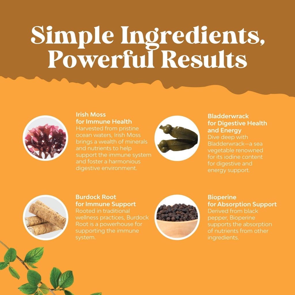 Organic Irish Sea Moss Capsules - Organic Sea Moss Pills with 2100mg Serving Superfood Complex with Bladderwrack Burdock Root and BioPerine for Immune Skin & Thyroid Support - Vegan Non-GMO (2 Month) 6