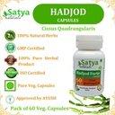 Hadjod Forte Capsules 500 mg. 60 Veg. Capsule | Hadjod (Cissus Quadrangularis) Extract Capsules for Men and Women | Ayurvedic Herbal Supplement/Remedies | 10:1 Forte (1 Bottle of 60 Capsules) 6