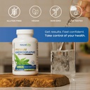 Natural Cure Labs Premium Andrographis Paniculata Extract 1,200mg with 100mg Andrographolides Vegan Capsules for Immune & Digestive Support, Non-GMO, Gluten Free, Herbal Dietary Supplement 4