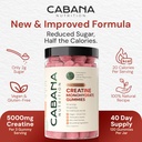 Creatine Monohydrate Gummies 5g - Watermelon Flavored Creatine for Women and Men - Supplement Supports Muscle Gain, Energy, Pre and Post Workout, Focus & Cognition, Recovery (120 count, 40 servings) 3