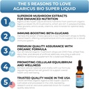 Agaricus Bio Super Liquid, Natural Killer Cell Activity, Organic Mushroom Extract, Agaricus Blazei Murill Mushroom, Tincture Drops with High Beta Glucans, Liver and Immune Support Supplement, 30 ml 2
