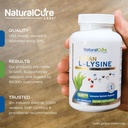 Natural Cure Labs Clean L-Lysine 600mg, 120 Capsules | Vegan, Non-GMO, & Gluten Free 3
