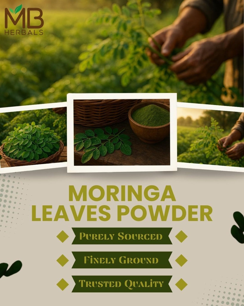 MB Herbals Moringa Leaf Powder 8 oz (227g / 0.5 LB) | 100% Pure Moringa Powder | Easily Mixes in Drinks & Smoothies | No Preservatives 5