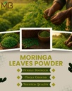 MB Herbals Moringa Leaf Powder 8 oz (227g / 0.5 LB) | 100% Pure Moringa Powder | Easily Mixes in Drinks & Smoothies | No Preservatives 5