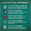 Vegan Vitamin B12 Liquid Drops - Fast-Acting B12 Sublingual 5000 mcg Methylcobalamin Supplement - Energy, Memory and Mood Support - High-Potency One-Dropper Per Day - Natural Citrus Flavor - 2oz 4