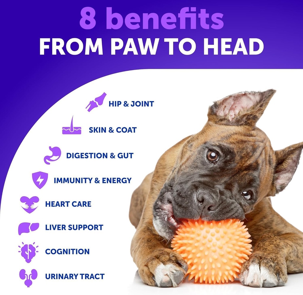 20 in 1 Dog Multivitamin with Glucosamine - Chewable Dog Vitamins and Supplements - Senior & Puppy Multivitamin Chews for Pet Hip & Joint Support, Immunity, Mobility, Skin, Digestion - 70 Soft Treats 3