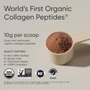 Sports Research Collagen Peptides - Hydrolyzed Type 1 & 3 Collagen Powder Protein Supplement for Healthy Skin, Nails, & Joints - Easy Mixing Vital Nutrients & Proteins, Collagen for Women & Men 3