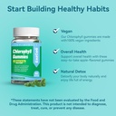 Sugar Free Chlorophyll Gummies, Vitamin B12 Zinc - Natural Deodorant*, Supports Healthy Skin & Body Detox*, Immune & Digestion Support, Chewable Chlorophyll Supplement for Women - 60 Count 4