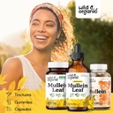 Wild & Organic Mullein Tincture 4 fl oz & Mullein Gummies 60 Count 5