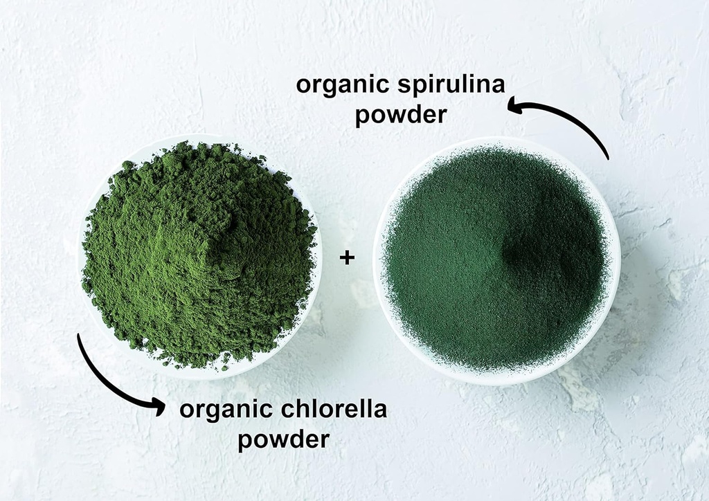 Food to Live Organic Algae Powder Mix, 1 Pound – Spirulina and Chlorella 50/50 Blend, Non-GMO, Rich in Chlorophyll, Raw, Pure, Vegan Superfood, Bulk, Great for Smoothies, Good Source of Protein 6