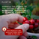 Berberine Supplement - 10xHigher Absorption Berberine HCI Complex with Bitter Lemon & Banaba Leaf - Cholesterol & Metabolic Clinically Researched Support - 60 Capsules Non-GMO 6