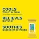 Preparation H Hemorrhoid Flushable Wipes with Witch Hazel for Skin Irritation Relief - 48 Count (Pack of 4) 3