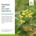 Terry Naturally Berberine - Dietary Supplement with Berberine - Liver Health Supplement for Metabolism Support - Joint Health Support for Men & Women - 60 Capsules 6