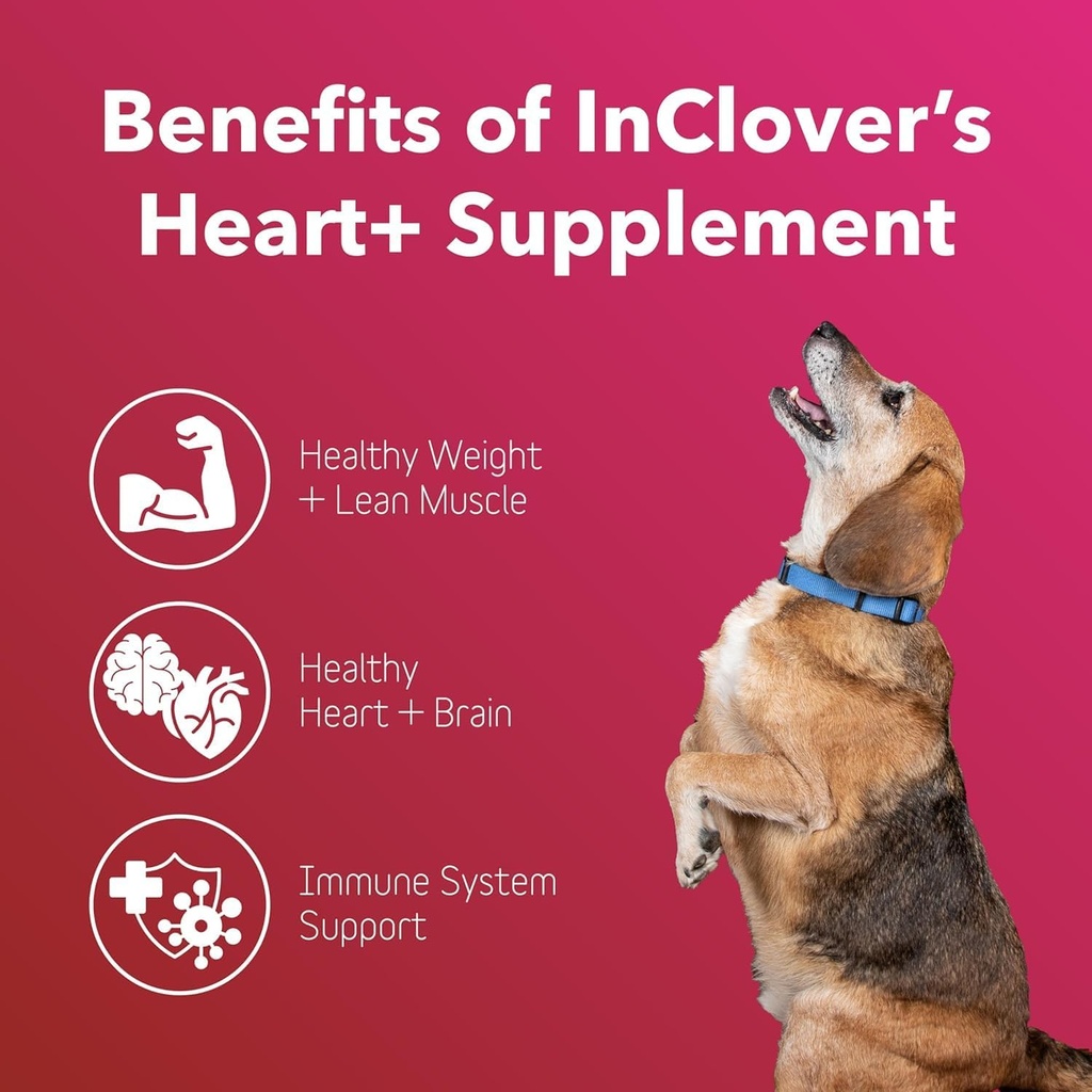 InClover Heart+ Dog and Cat Cardiac Health Supplement - Taurine Supplement for Dogs and Cats - Supports Heart & Immune Health, Pet Supplement for Weight Management & Senior Pet Health 3