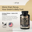 Ginkgo Biloba Alpha GPC Supplement with Panax Ginseng L Tyrosine with L Theanine, Bacopa monnieri, Rhodiola Rosea, Phosphatidylserine, B12, MCT, DMAE - Complex | Made in USA 3