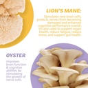 Silver Star Nutrition, Roots Focus Nootropic Brain Supplement - Strawberry Watermelon & Spicy Pineapple- Lion's Mane, Cordyceps, & Reishi Functional Mushrooms + Extended-Release Caffeine, 100 Servings 6