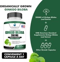 Ginkgo Biloba Extract 200mg, Organic Ginkgo Biloba Extract, Ginkgo Biloba Supplements, Ginkgo Biloba Extract, Ginkgo Biloba Organic, Ginkgo Biloba Pills, Ginkgo Biloba Capsules, 120 Vegan Capsules 4