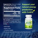 CoQ10 100mg – Heart & Energy Support with Powerful Antioxidant, 120 Softgels, Easy-to-Swallow | Innervis Nutrition 3