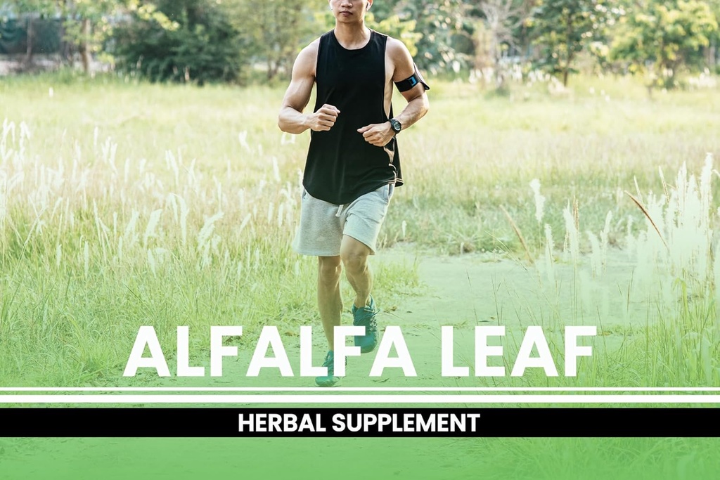 PURE ORIGINAL INGREDIENTS Alfalfa Leaf (365 Capsules) No Magnesium Or Rice Fillers, Always Pure, Lab Verified 5