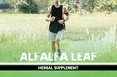 PURE ORIGINAL INGREDIENTS Alfalfa Leaf (365 Capsules) No Magnesium Or Rice Fillers, Always Pure, Lab Verified 5