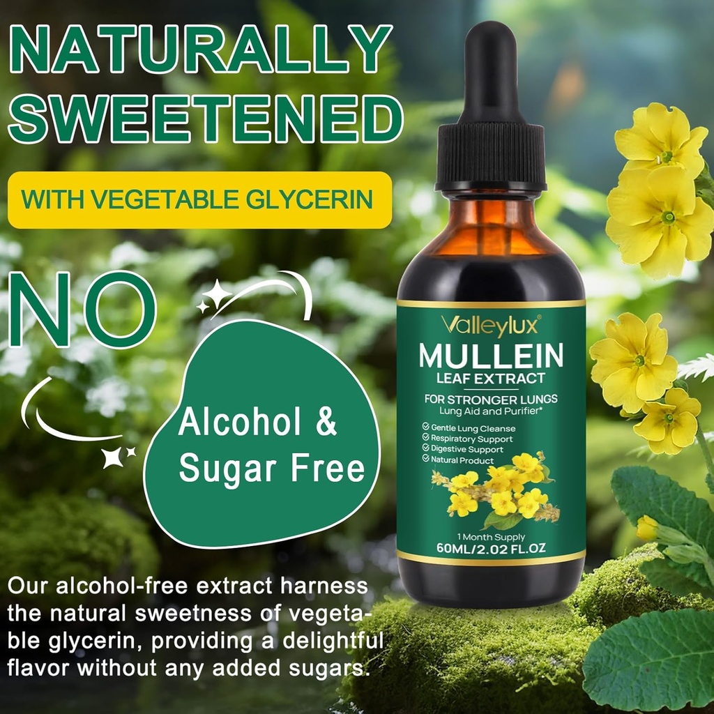Mullein Drops for Lungs,Mullein Leaf Extract for Lungs,Natural Cleanse,Mullein Leaf Liquid Extract Supplement,Vegetarian Healthy Lifestyle,2 FL OZ 6