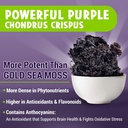 MAJU's Powerful Purple Sea Moss Capsules (60 ct), Extra-Strength Purple Minerals, Chondrus Crispus, Stronger Than Gel, Compare to Organic Irish Seamoss Capsule, Wild Harvested Powder Pills 3