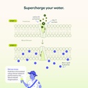 Cheers Hydrate | Oral Rehydration Solution | Electrolytes for Rapid Hydration | Lemon Lime Flavor | 12 Servings | Electrolyte Supplement with Sodium, Potassium, Glucose 4