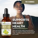 Herbal Goodness Olive Leaf Extract Liquid 1oz - for Immune Boost, Cadiovascular Support, Cognitive Wellbeing, Improved Skin Health and Digestive Comfort with Antioxidants - 1 Bottle 6