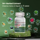 Harvard Apparatus Advanced Liver Cleanse Detox & Repair - Herbal Liver Support with 14-in-1 Herbs-Silymarin Milk Thisitle with Dandelion, Artichoke, Ginger, Boost Energy & Digestive, 60 Tablets 4