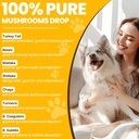 Turkey Tail Mushroom for Dogs - Faster Absorption 2000mg Turkey Tail Mushroom for Immune & Digestive, Joint, Energy, 5X Mushrooms for Pet Drop with Turmeric & Probiotic - Vet Formulated, 90 ML/3FL.oz 4