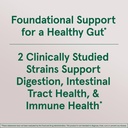 Jarrow Formulas Probiotic Duo, 3 Billion Live Cells Supplement for Immune Health and Digestive Support, 60 Raspberry Flavor Probiotic Gummies, 30 Day Supply (Pack of 12) 5