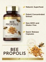 Carlyle Bee Propolis Capsules 600mg | 150 Count | Extract Supplement | Non-GMO, Gluten Free 4
