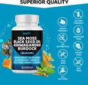 Sea Moss 3000, Black Seed Oil 2000, Ashwagandha 1000, Bladderwrack, Maca Turmeric - Manuka Honey, Dandelion & Black Pepper, Super Antioxidants Supplement,180 4
