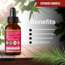 Herbal Goodness Papaya Leaf Blood Platelet Liquid Supplement - Liquid Tincture 1oz - Natural Blood Platelet Boost & Immune Support, Bone Marrow - Blood Cleanse Formula - Made in USA 5