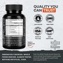 Wild Focus Brain Supplements | Caffeine-Free, Plant-Based Botanicals | Lions Mane, Ginkgo Biloba, Bacopa Monnieri, Lemon Balm | 100% Natural Nootropic | 60 caps 3