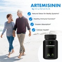 HUMANX Artemisinin 505mg with Bioperine for Greater Absorption - Supports Healthy Aging, Digestion, and Immunity - USA Third Party Tested - Vegan, Non-GMO - Artemisia Annua - Sweet Wormwood Extract 4