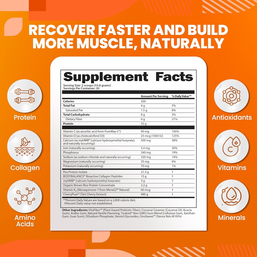 SaltWrap Protein Clinic – Total Body Recovery Shake with Collagen Peptides, HMB, Tart Cherry Extract, Pea Protein Isolate and Prebiotic Fiber for Joints & Muscle Recovery - Creamy Chocolate Fudge 3