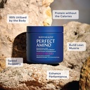 BodyHealth PerfectAmino Powder - BCAA and EAA Powder for Pre and Post Workout - Amino Acid Energy Drink for Men and Women to Support Lean Muscle and Recovery - Mixed Berry - 30 Servings 4