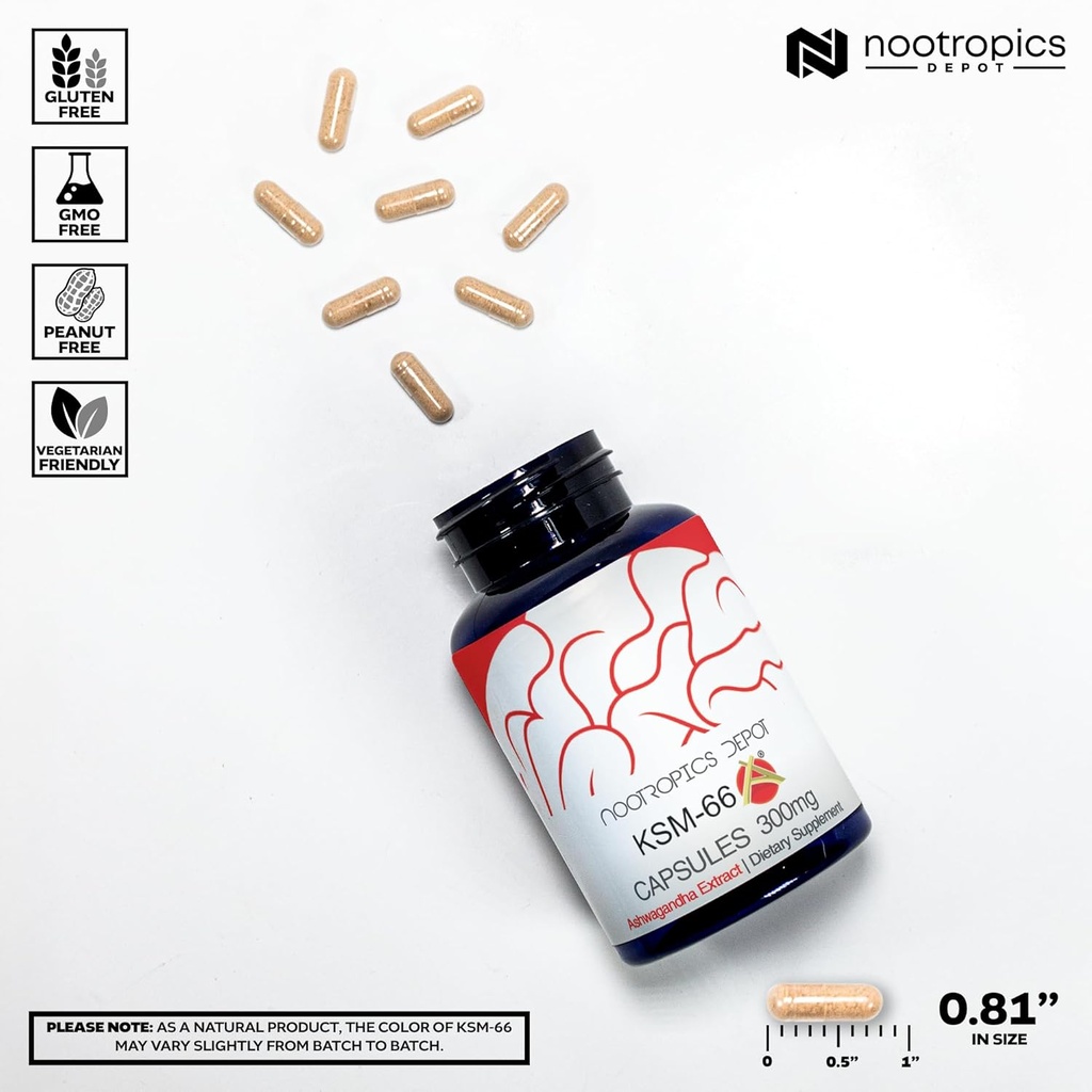 Nootropics Depot KSM-66 Ashwagandha Capsules | 300mg | 180 Count | Withania somnifera Extract | Ayurvedic Herb | Adaptogen Supplement | Stress + Promote Relaxation* | Energy, Memory + Focus* 4