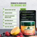 USDA Organic Pre-Workout Powder, Strawberry Mango | Clean Energy Without Jitters | Natural Performance Boost | No Artificial Sweeteners | 20 Superfoods | Low Caffeine, 20 Servings 4