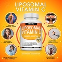 Liposomal Vitamin C 2100mg High Absorption Fat Soluble VIT C - Immune Support Collagen Booster Immunity Defense & Powerful Antioxidant, MCT Oil & Sunflower Lecithin, Acsorbic Acid, Vegan Non-GMO 3