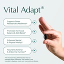 Natura Health Products Vital Adapt Supplement - Daily Nourishing Adaptogenic Tonic for Endocrine Function Support - Featuring Rhodiola, Ashwagandha, Cordyceps, Reishi (60 Capsules) 3
