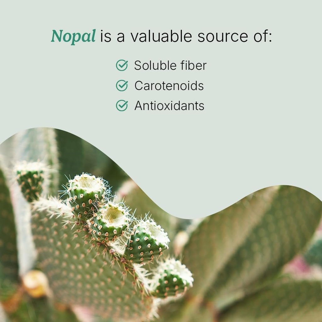 Santo Remedio Nopal Chia, Prickly Pear Cactus and Chia Powder Dietary Supplement, Clinically Proven Ingredients, Gluten Free, Non-GMO, No Added Sugar, 120 Capsules, 60 Servings Per Container 6