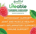 Lifeable Turmeric Curcumin Kids + Iron & Vitamin C Kids, Gummies Bundle - Great Tasting, Vitamin Supplement, Gluten Free, GMO Free, Chewable Gummy 5