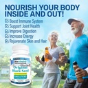 Bio Absorb Black Seed Oil Cold Pressed Capsules. 200 softgels, 500mg (50-Day Supply). No Aftertaste. 5